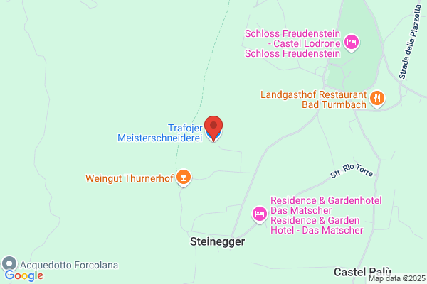 Trafojer meinhard