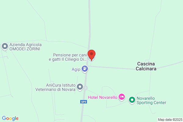 Pensione per cani e gatti Il Ciliegio Di San Giovanni