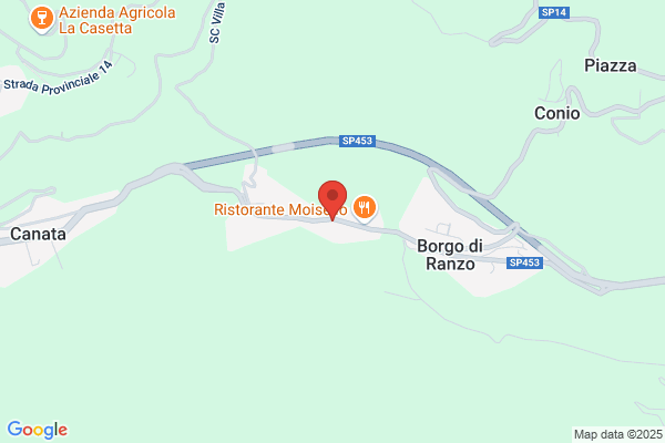 Pizzorno bruna