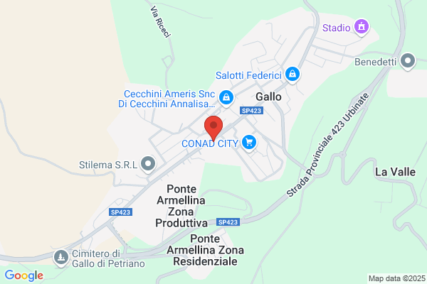 Giannotti Nevio Srl