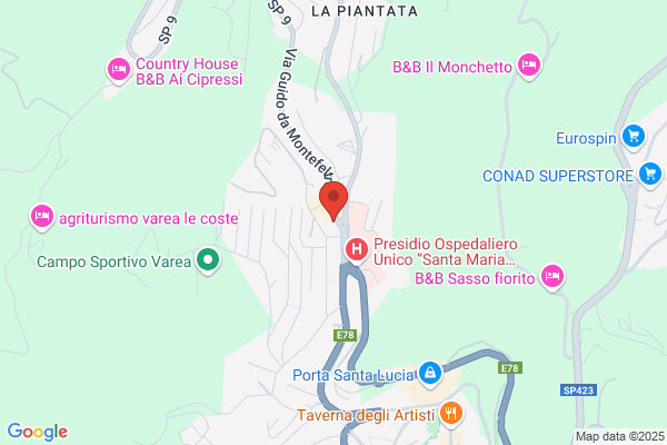 Manifattura Organizzata Nastri E Stringhe Industriale