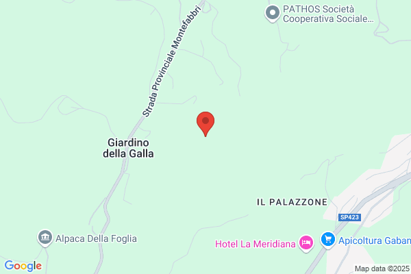 Pazzaglia ferruccio