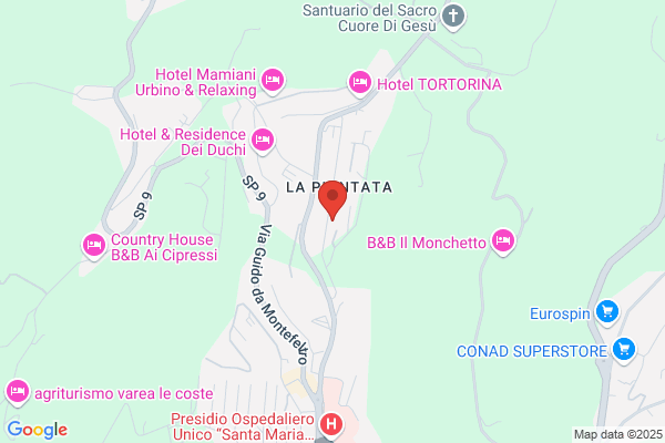 Commercialista Dott.ssa Galuzzi