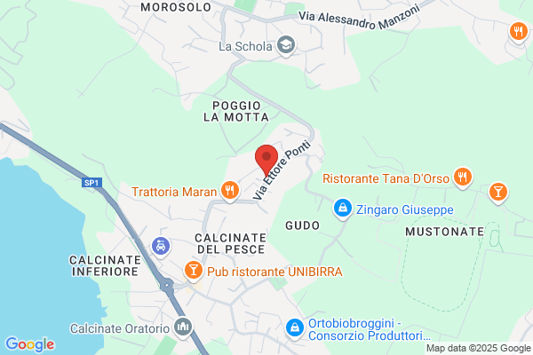 Fochi Patrizia