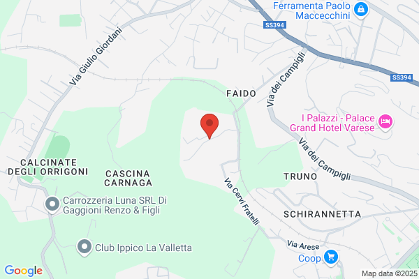 Tallarini andrea