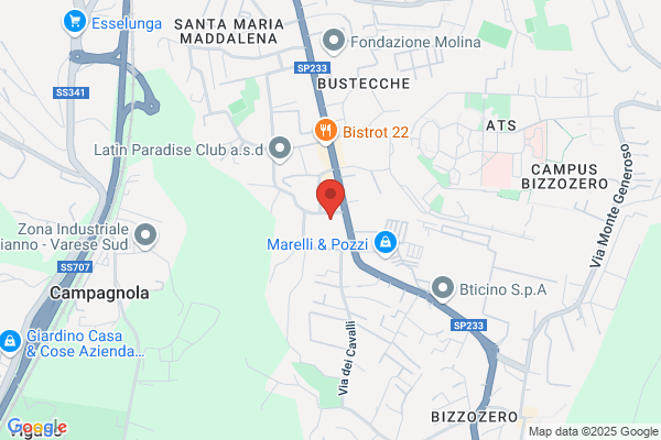 Autoviemme Varese
