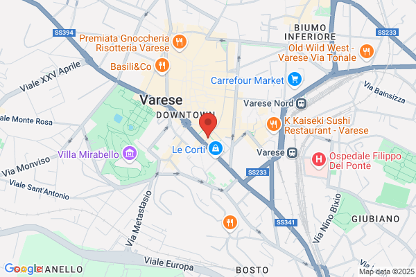 Virtware Di Stefano Bernasconi