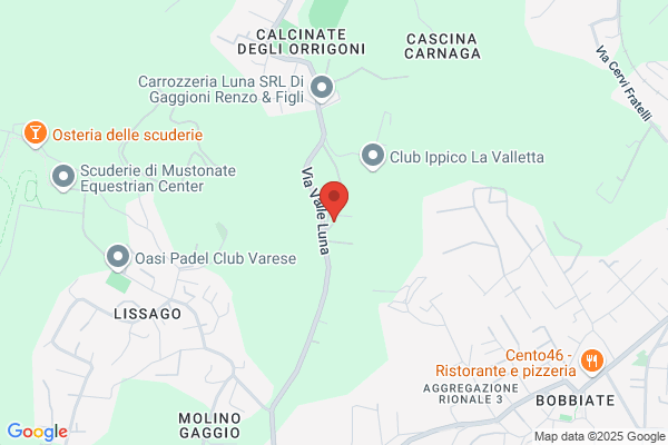 Municipio