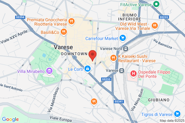 Istituto Magenta
