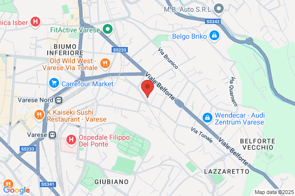 Scuola Professionale L. Da Vinci Tessitura Prearonautica elettrotec/// (Nica)
