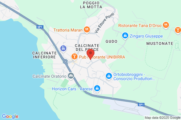 Vismara massimo (Dr.)