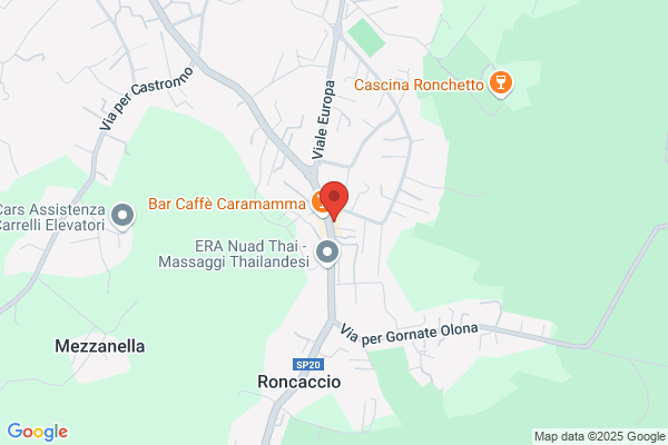 Nuova Idea Di Gallo Mariella