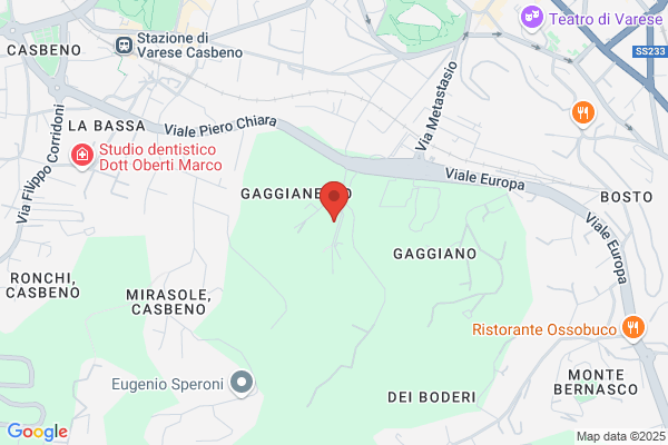 Galli Guglielmo (Geom.)