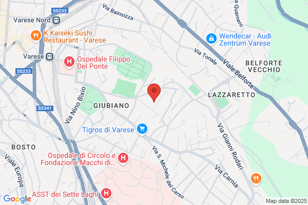 Zincografica Varese Srl