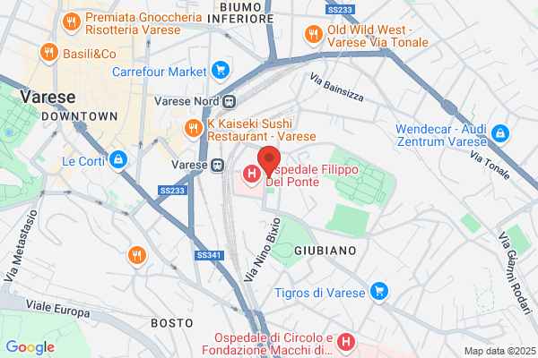 Kodokan Varese