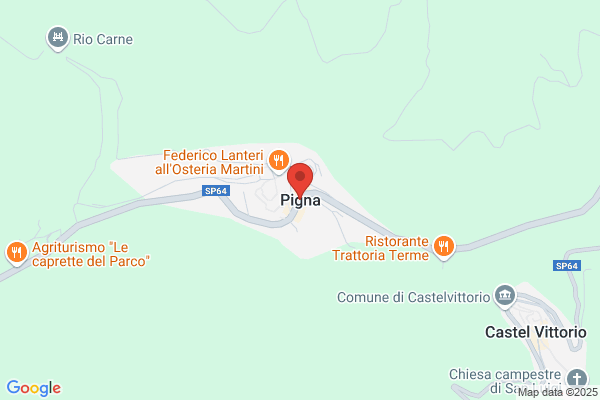 Pigna silvio