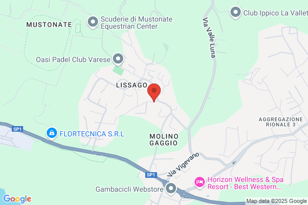 Ristorante Gesuino - Hermitage del Passatore