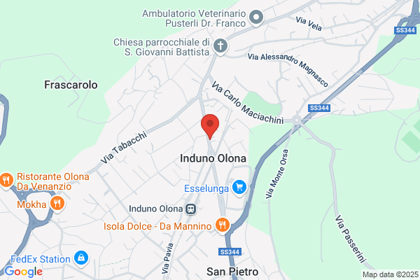 Il Nespolo