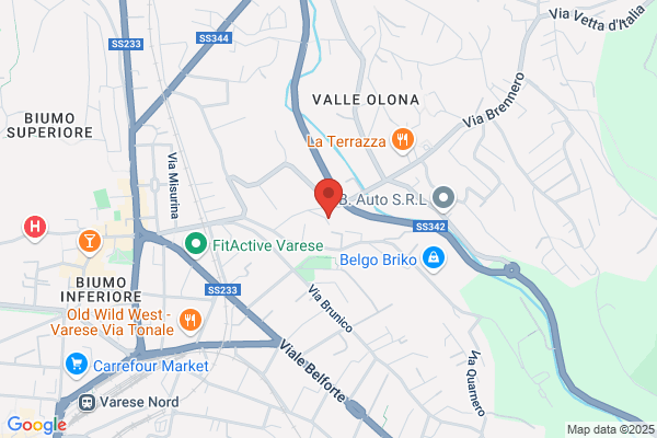 Tecnografica Varese Srl