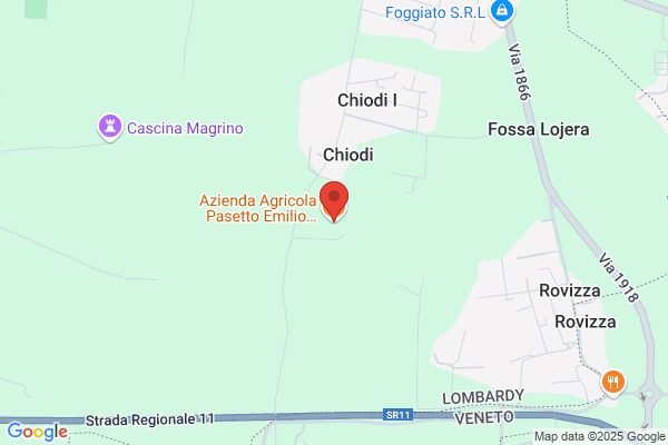 Pasetto anna