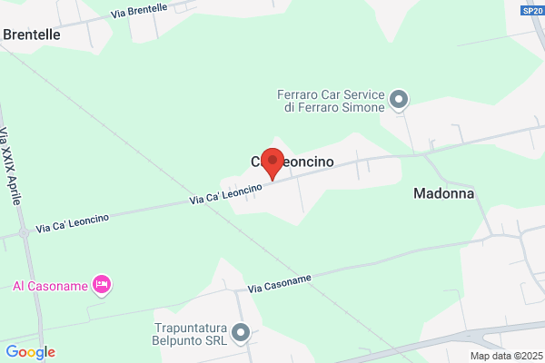 Stocco olivo
