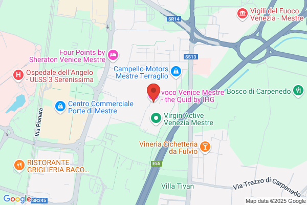 Best Western Plus Quid Hotel Venice Airport
