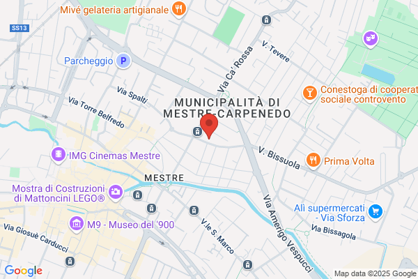 Gatti Sistemi di Sicurezza