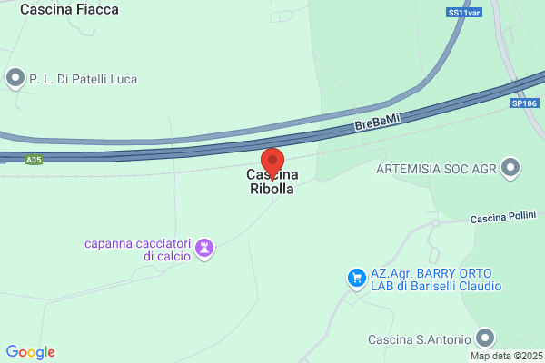 Ricca luigino