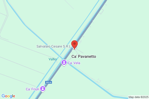 Salvalaio gabriele