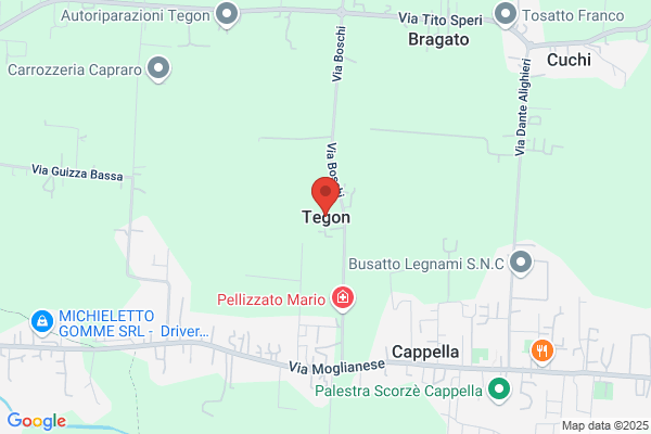 Tegon Srl