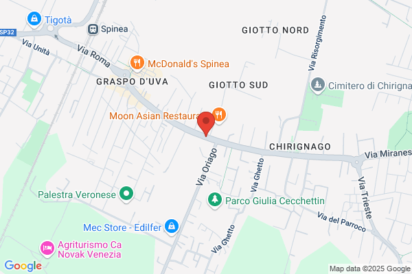 Saccarola vito (Ing.)