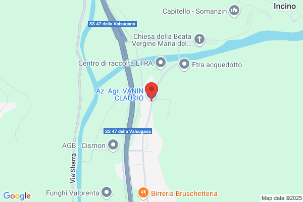 Vanin claudio