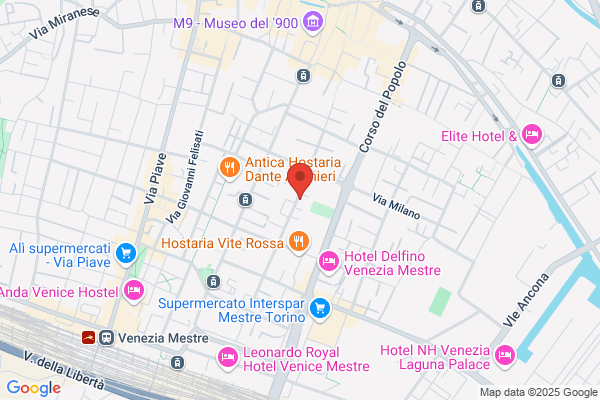 Lega Nord-Liga Veneta