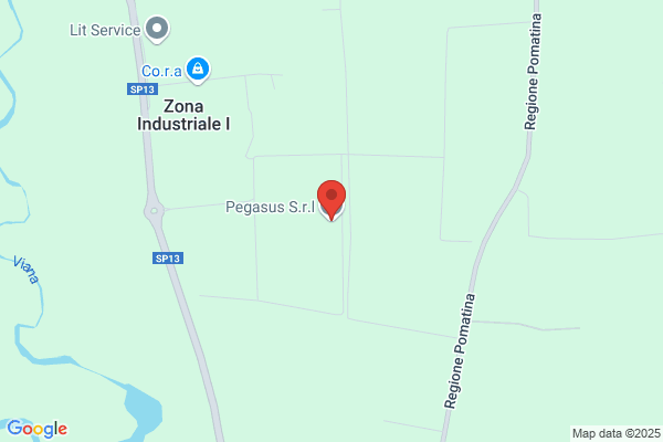 Pegasus Srl