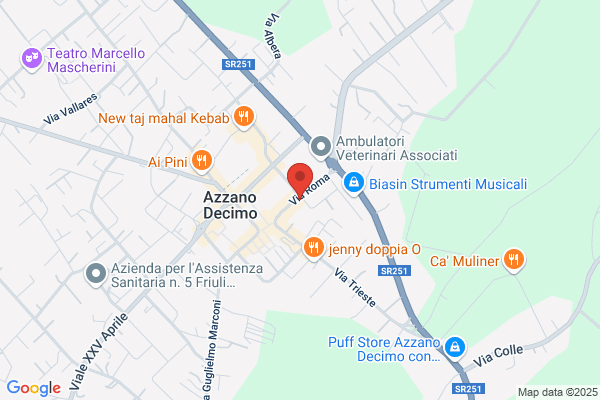 Ristorante Pizzeria Aladino