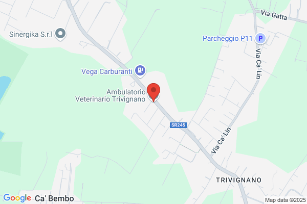 Ambulatorio Veterinario Trivignano