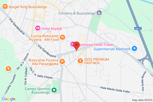 Immobiliare Albertini S.R.L.