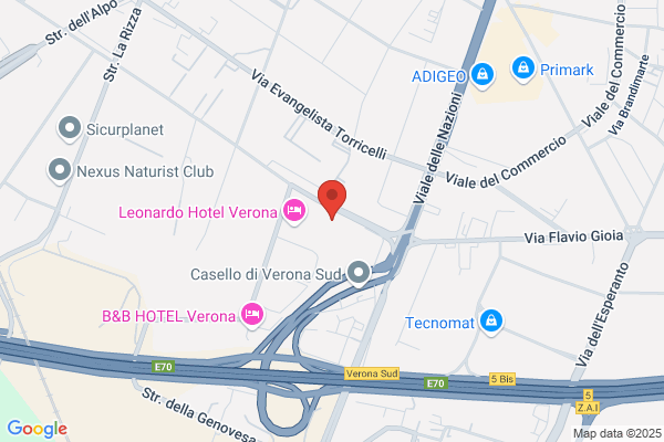 Goodwill Viaggi Srl