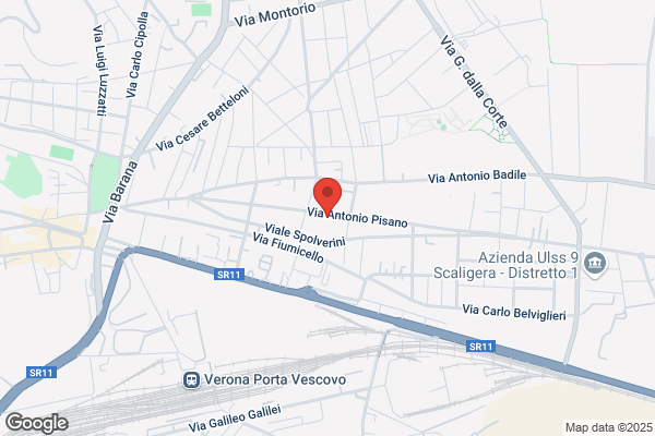 Micheletto francesco