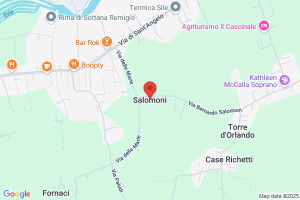 Salomoni domenico