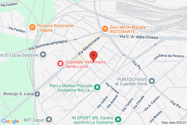 Soluzioni Srl