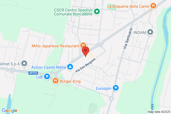 Mega Italia (S.P.A.)