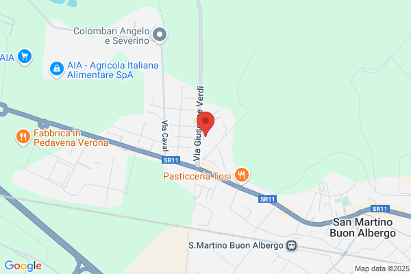 Cat Sitter Verona