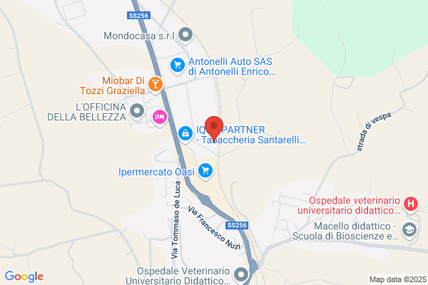 Menichelli claudio