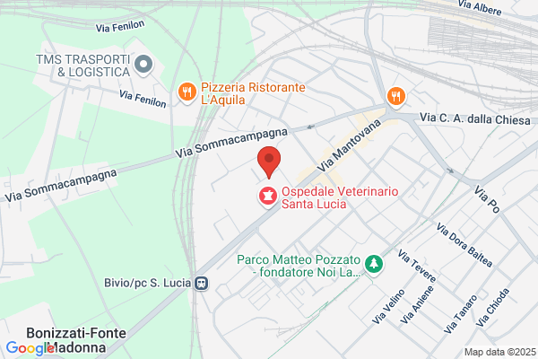 Scuole Pubbliche/Scuole Elementari/Xviii Circolo