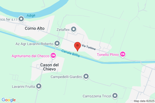 Pinna alessandro (Dr.)