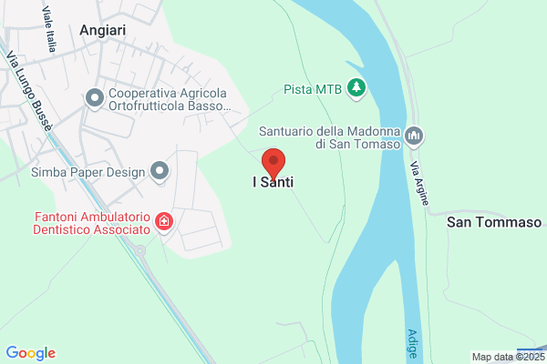 Santi enrico