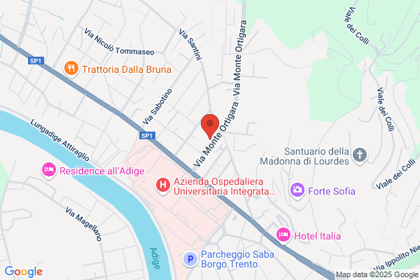 Paon federico (Ing.)