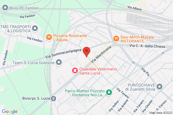 Lorenzetti Dr. M. E Rigo Dr. A.