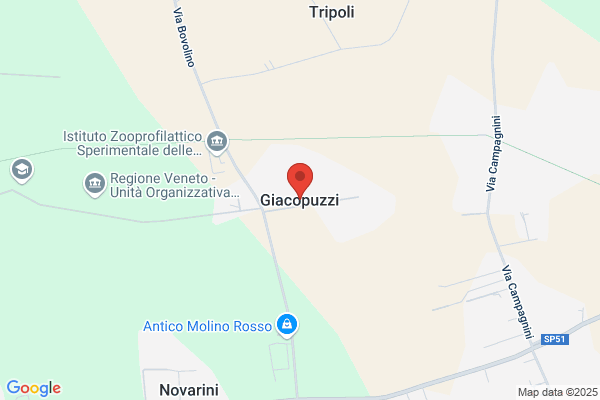 Giacopuzzi Guerrino